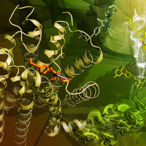 Cannabinoids